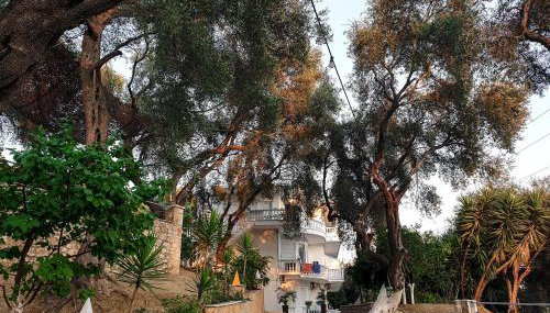 Angelos Studios - Photo 2, Garden