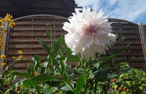 Haus Kallin - Foto 46