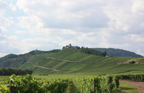 Zwei Ferienwohnungen "Im Weingarten " - Foto 34