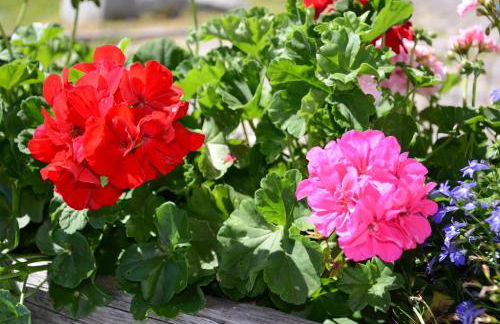 Kellnerhof - Foto 59