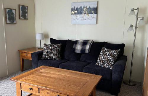 Stay In Ohiopyle near the GAP Trail - Ohiopyle, PA - Foto 12