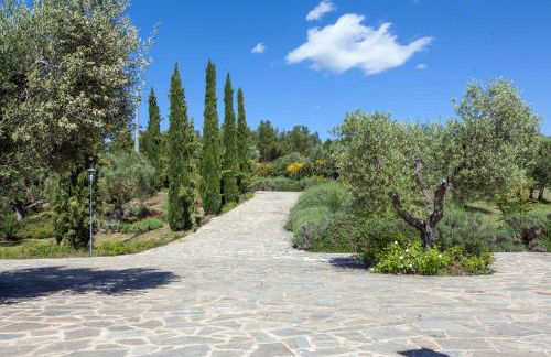 Agriturismo Villa La Maesta - Photo 20