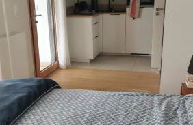 La Soldanelle vue lac et montagnes - Photo 13