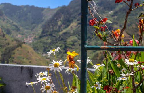 Casas Tipicas Candelaria Tabua - Photo 29