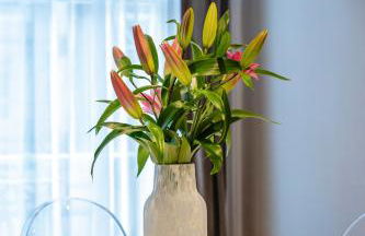 Central London Hyde Park Apartments - Foto 9