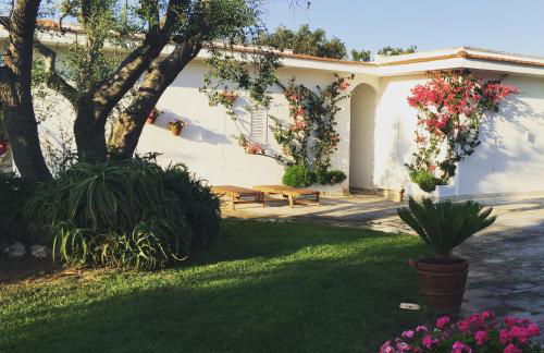 Villa sul mare Rosa Marina - Foto 15