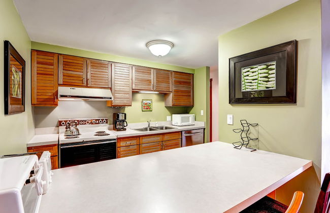 Timber Run - Foto 21