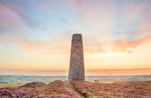 The Dale Manor - Foto 13