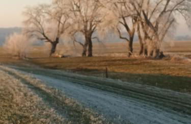 Ferienwohnung an der Elbe - Foto 2