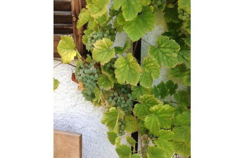 Holiday apartment with 2 bedrooms - Foto 10