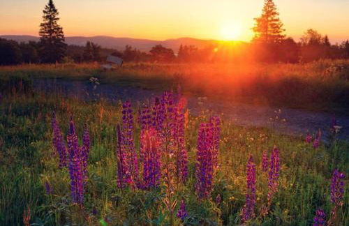 Wohnung in Stormbruch nahe dem Skigebiet - Foto 19