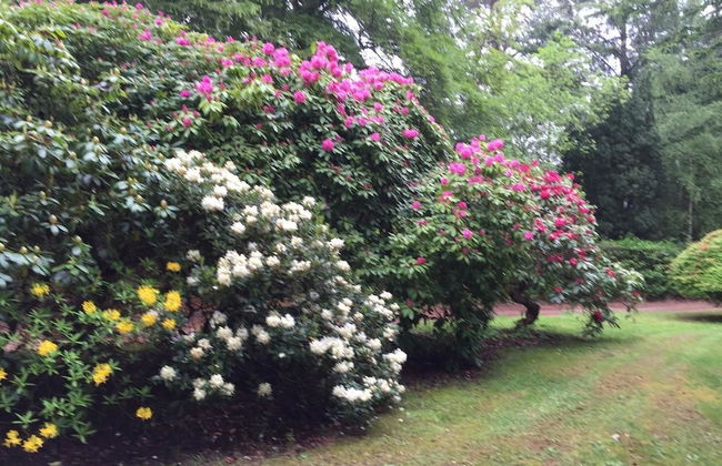 Firlands House - Foto 16