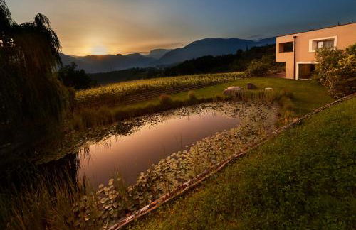 Weingut Stuck - Foto 22