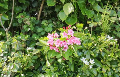 Shipton Hill View - Photo 36