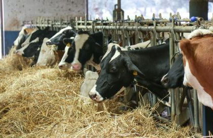 Barone GR Macrì Agriturismo Modi - Foto 44