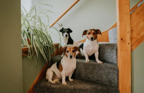 White Side Cottage - Foto 21