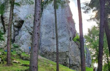 Pokoje przy Zamku - Foto 24