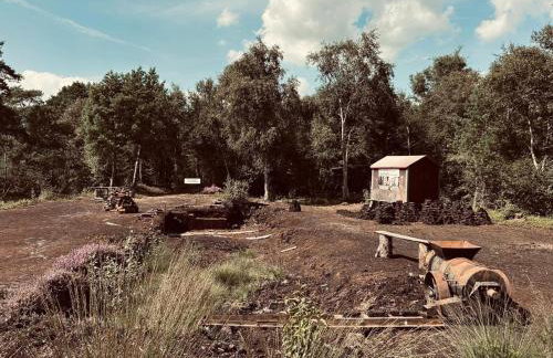 Idyllisches Ferienhaus Nähe Dümmer See Auszeit Sauna Natur - Foto 26