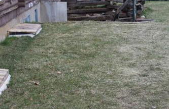 Rustic & Bright 1 Bed Apt. - Photo 7