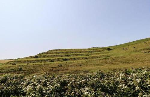 Tiddlers Cottage - Photo 45