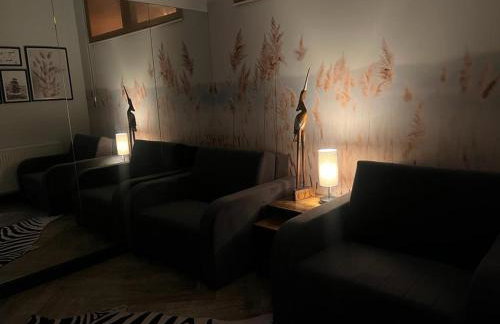 Apartamenty Terminal Charzykowy - Foto 45