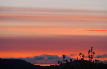 Forest Corner Luxury Home with Hot Tub - Foto 13