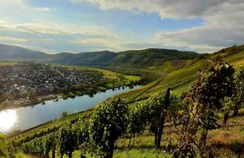 Das AMBIENTE I - Komfortables Wohnerlebnis mit Moselromantik - Herzlich Willkommen - - Foto 18