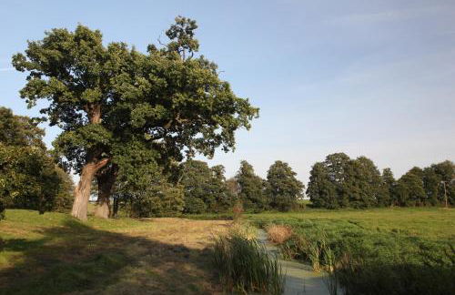 Auszeit zu zweit - Usedom Ferienwohnungen Tannengrund - Foto 44