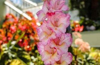 Hikers Haven - Foto 41