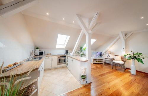 Silbermöwe - b65688 - Foto 2