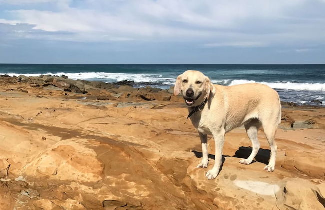 Killy Views Stunning Waterfront Pet Friendly Fireplace Free EV Charger 7 kW - Foto 43