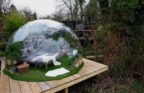 Natures Edge Cabin - Photo 37