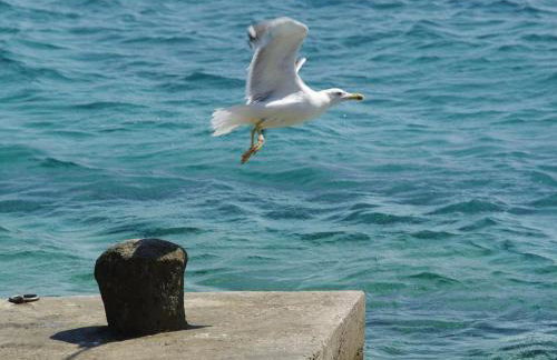 Holiday Home Villa Nova by Interhome - Foto 22