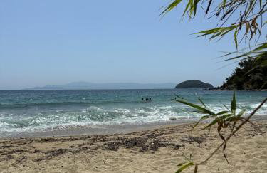 Olivia -Ελιά - Foto 37