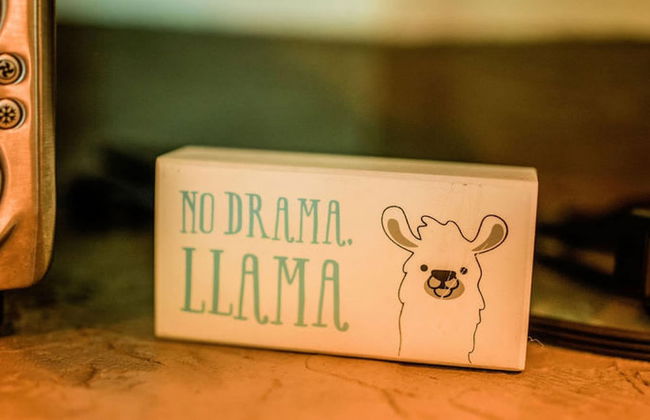 Northern Nights Chalet by Wanderlust Abodes - Foto 51