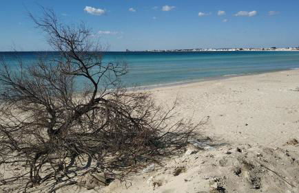 Casa di Rita al Bassamarea - Foto 16