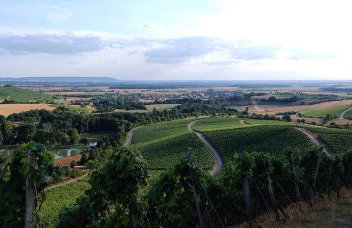 Ferienwohnung am Hollergraben - Foto 17