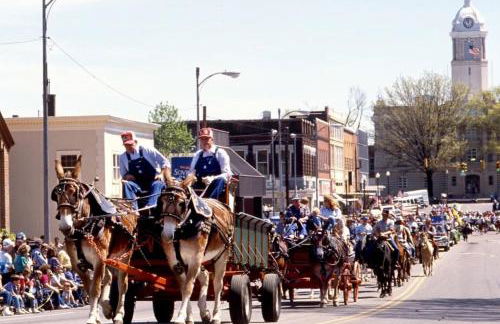 Cozy 2BR Apt w KING in historic dist. 1mi to sq. - Foto 8