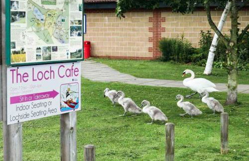 Churchview - Foto 61