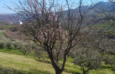 Casa nei 3 alberi, Molise - Foto 19