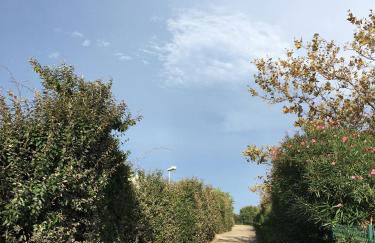 Cosy Lagune - Photo 46