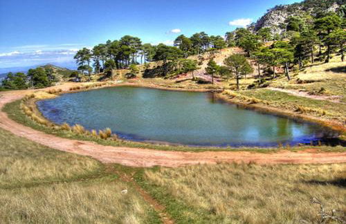 La Remulla - Foto 11