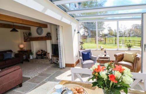 West Reins - Photo 5