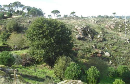 Casa da Bôcha - Foto 29