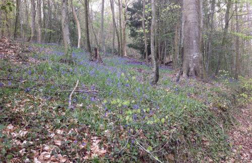 The Chairman's Retreat in The Cotswolds - Space To Relax in the Countryside - Foto 25