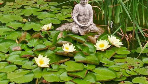 Gîte tout confort avec grand jardin, cheminée, clim et WIFI, proche châteaux de la Loire et ZooParc de Beauval - FR-1-491-400 - Photo 5