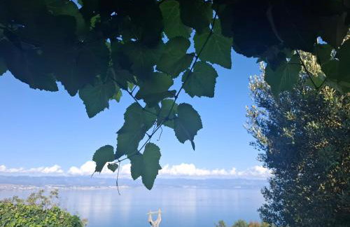 Apartments Blue & Green - Foto 17