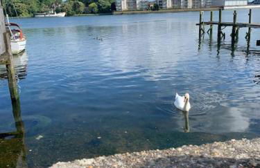 Apartment, Stylish 2 bed Riverside House, 2 Kingsize beds, Free Parking - Foto 1