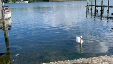 Apartment, Stylish 2 bed Riverside House, 2 Kingsize beds, Free Parking - Foto 1