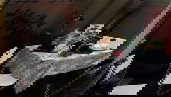 Terraço/pátio interior